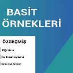 Basit CV Örnekleri