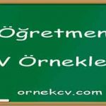 Öğretmen Cv Örnekleri