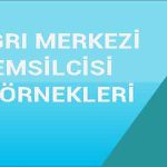 Çağrı-Merkezi-Temsilcisi-Cv-Örneği