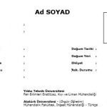 Hazır Sade Cv Örneği