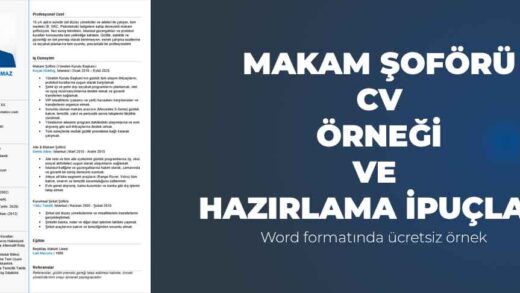 Makam şoförü, kurumsal şirket şoförü, aile şoförü cv örneği ve hazırlama ipuçları