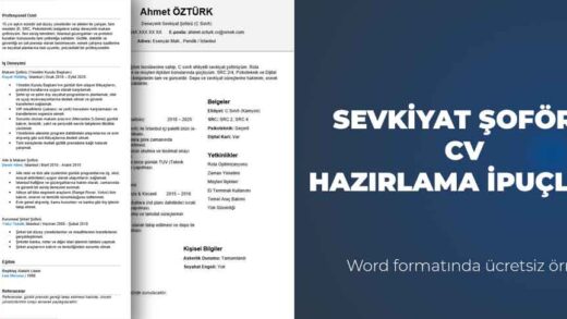 sevkiyat şoförü CV